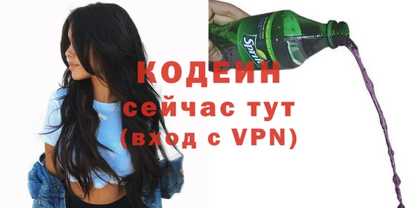 прущие грибы Медногорск