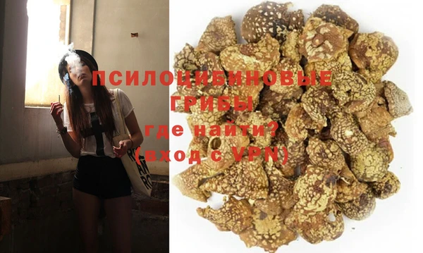 гидра Михайлов