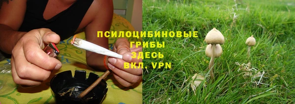 дживик Михайловка