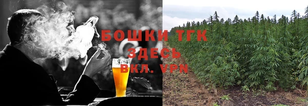 гидра Михайлов