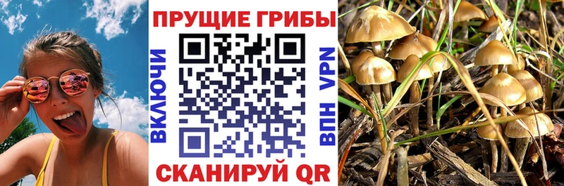 купить  сайты  Нариманов  Галлюциногенные грибы GOLDEN TEACHER 